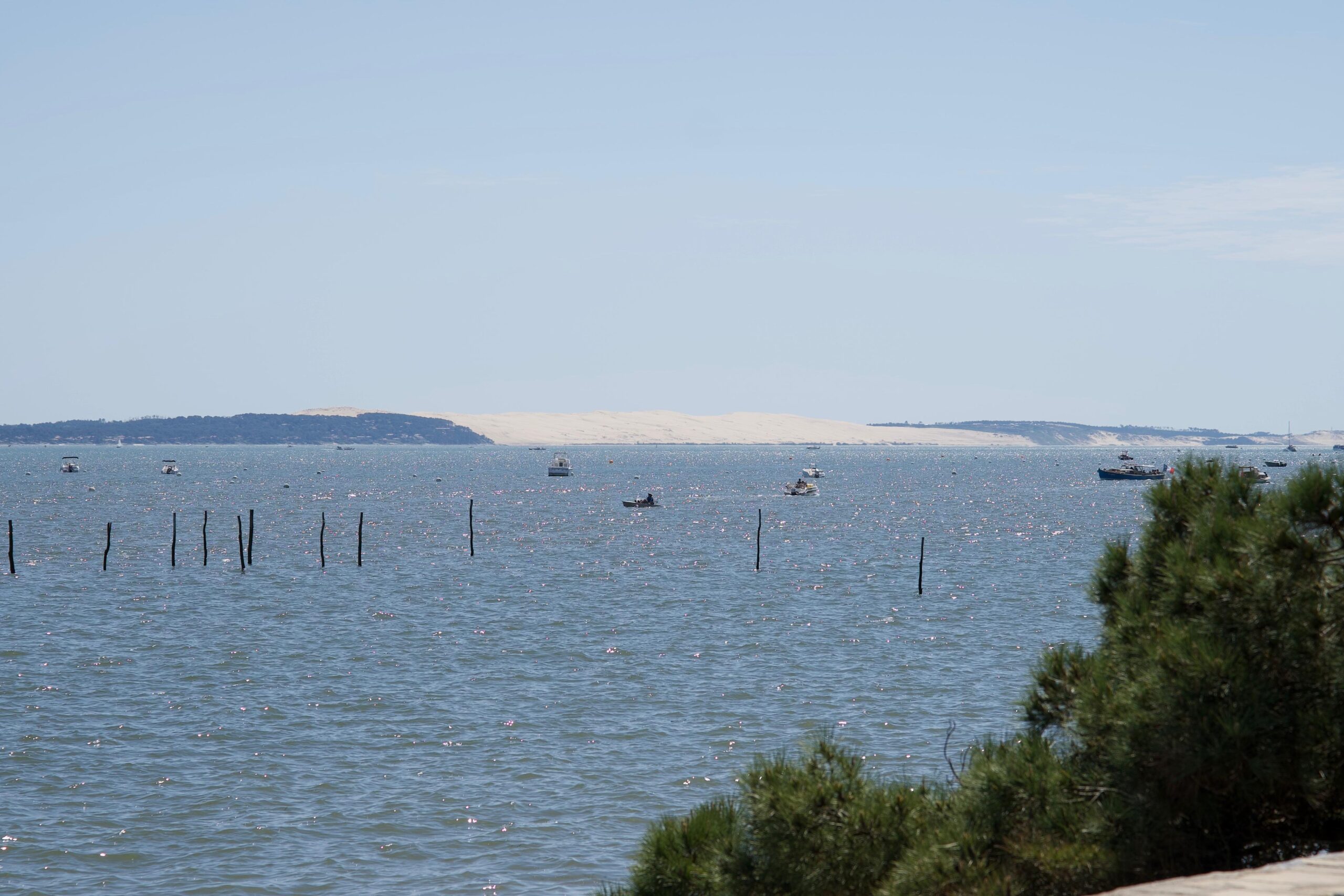 Cap Ferret Cap Ferret